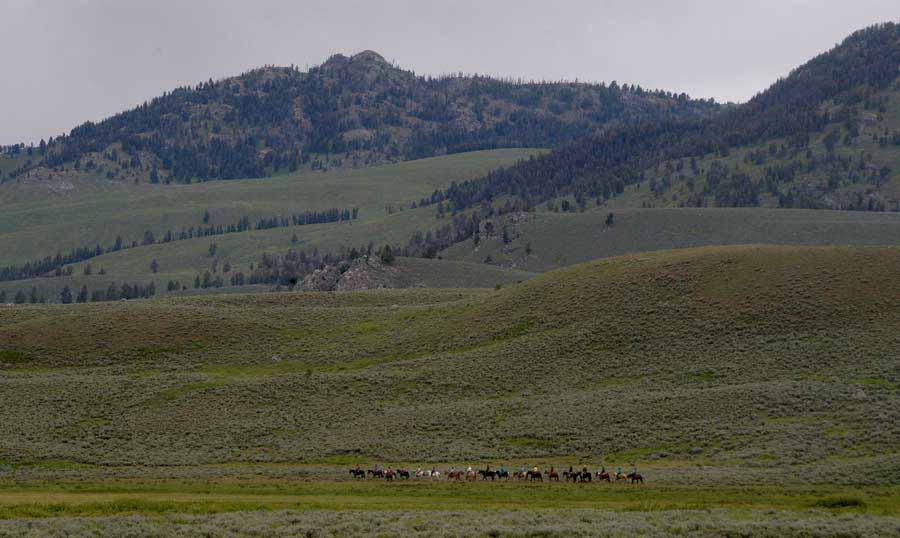 Riders on horseback move along a trail near the Roosevelt area in Yellowstone National Park. (Ruffin Prevost/Yellowstone Gate)