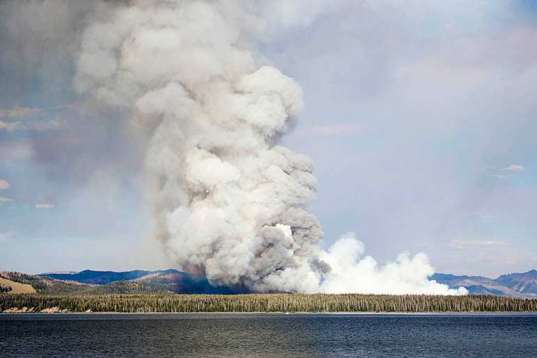 The Alder Fire burning in Yellowstone National Park has prompted the temporary closure of some backcountry campsites near Yellowstone Lake.