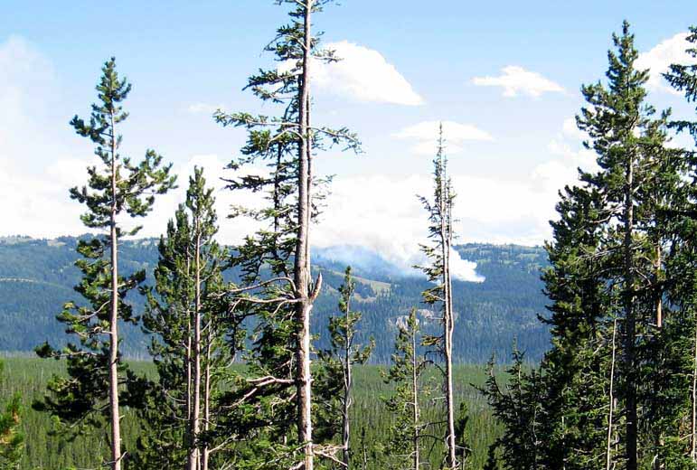 The Snake Fire was probably sparked by lightning, and was discovered Monday afternoon burning near the South Entrance to Yellowstone National Park.