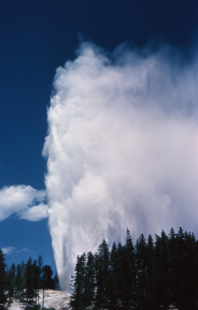 Steamboat Geyser in Yellowstone National Park, the tallest active geyser in the world, erupts in 1963. 