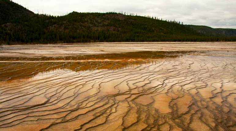 Sunlight reflects off of a terraced mineral pool in Yellowstone National Park. 