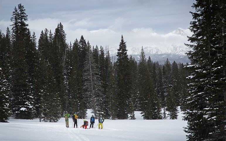 Participants ski through a snow-covered forest during an avalanche forecasting, survival and rescue class.