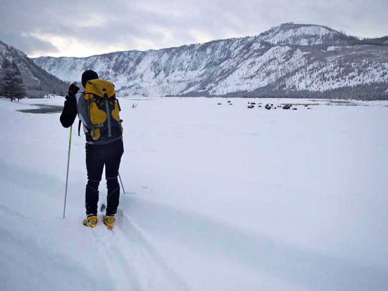 Derek Collins takes in the view while skiing across Yellowstone National Park. 