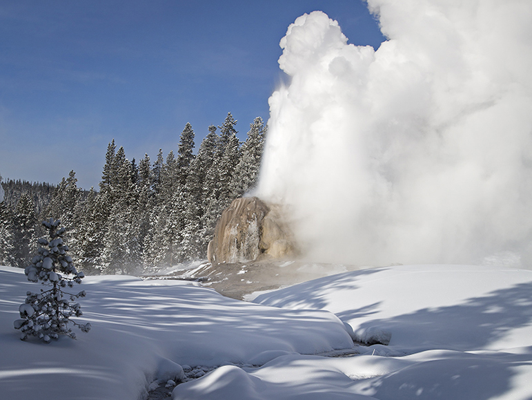 The remote Lone Star Geyser erupts under blue winter skies in Yellowstone National Park.