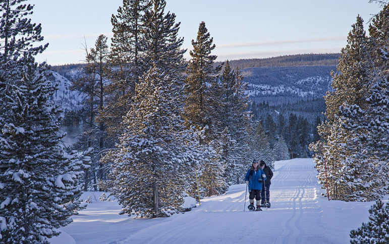 Two people use snowshoes to walk around the Old Faithful area in Yellowstone National Park during  a February 2014 cold snap.