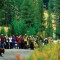 Yellowstone National Park managers are looking for ways to more effectively deliver safety messages about watching bears, wolves and other wildlife at roadside traffic jams.