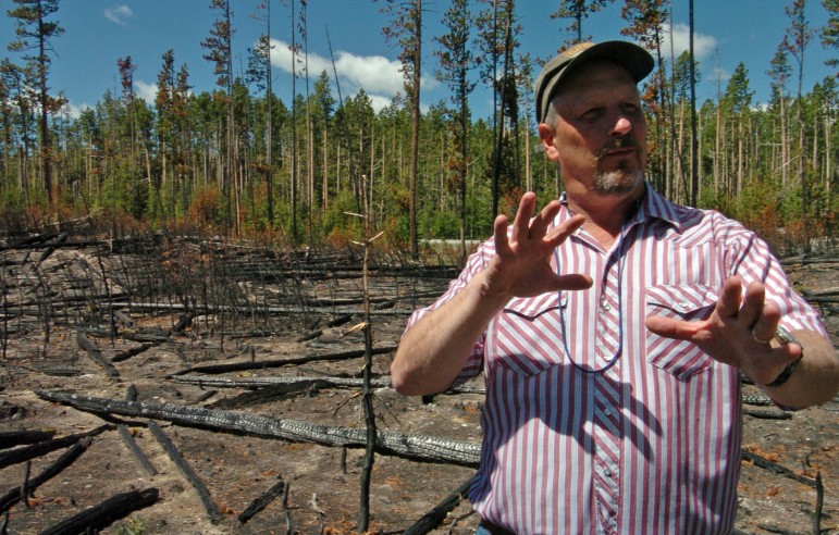 Roy Renkin, a vegetation specialist with the National Park Service, points out sections of a forest in Yellowstone National Park that were the subject of a prescribed burn in 2007 during a 2008 media tour looking back at the summer fires of 1988.