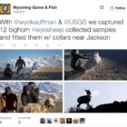 Researchers with the Wyoming Migration Initiative post images form their work on social media channels.