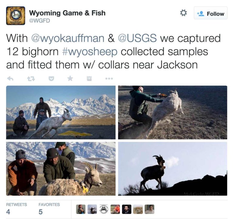 Researchers with the Wyoming Migration Initiative post images form their work on social media channels.