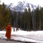 A Buddhist monk from Thailand takes photographs at Sylvan Lake on Friday in Yellowstone National Park.