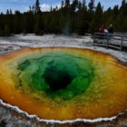 A rare thermophilic virus found in the hot waters of Yellowstone National Park may be behind strange animal behavior in the region.